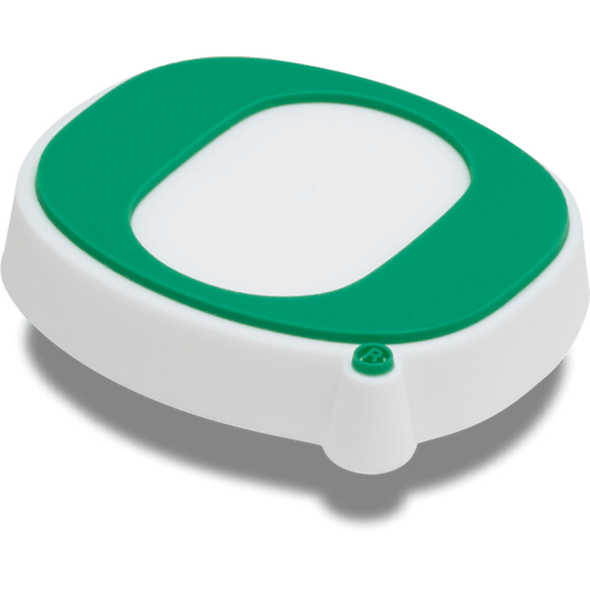 University of Oregon Jibbitz™ charms - Crocs US