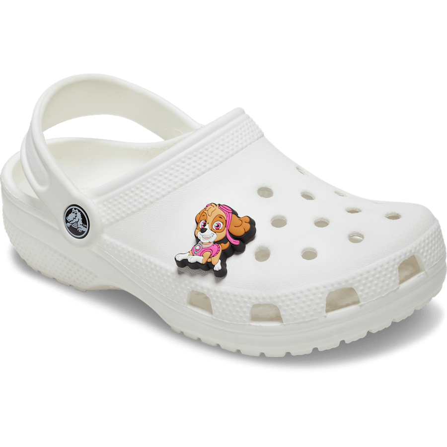 Paw Patrol Skye Jibbitz™ charms - Crocs US