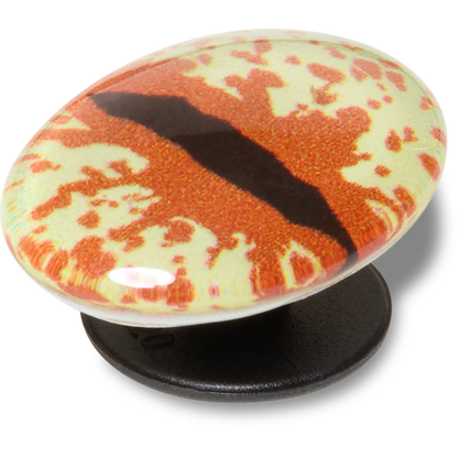 Hazel Animal Eye Jibbitz™ charms - Crocs outlet