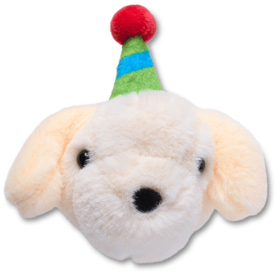 Record Your Own Sound Birthday Jibbitz™ charms - Crocs US