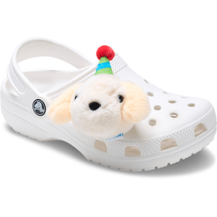 Record Your Own Sound Birthday Jibbitz™ charms - Crocs US